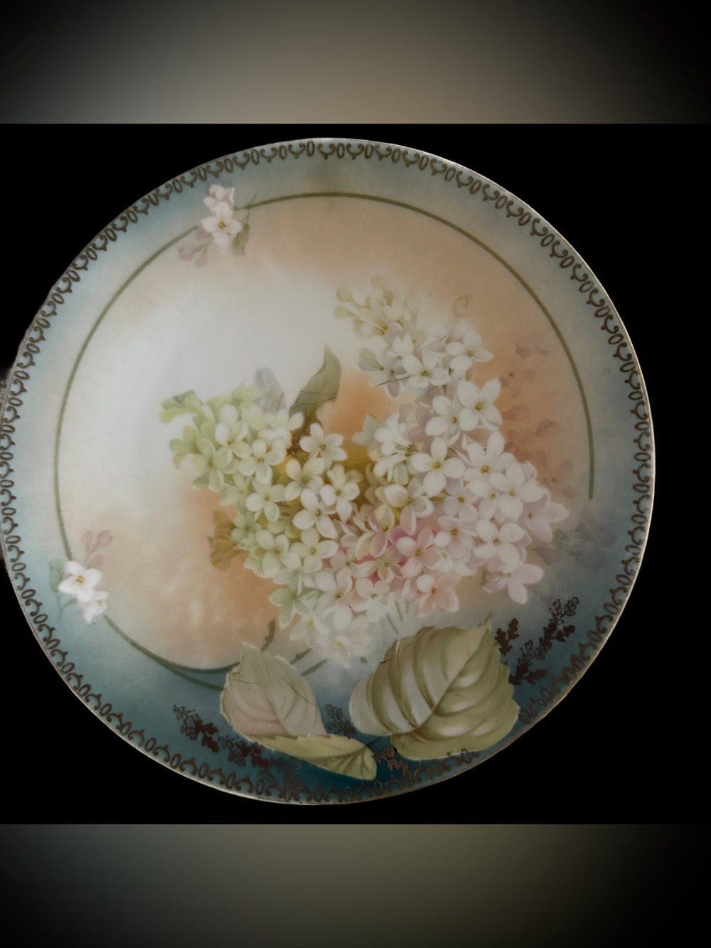 1920 Antique Reinhold Schlegelmilch Tillowitz Germany Porcelain Dessert Plates-4